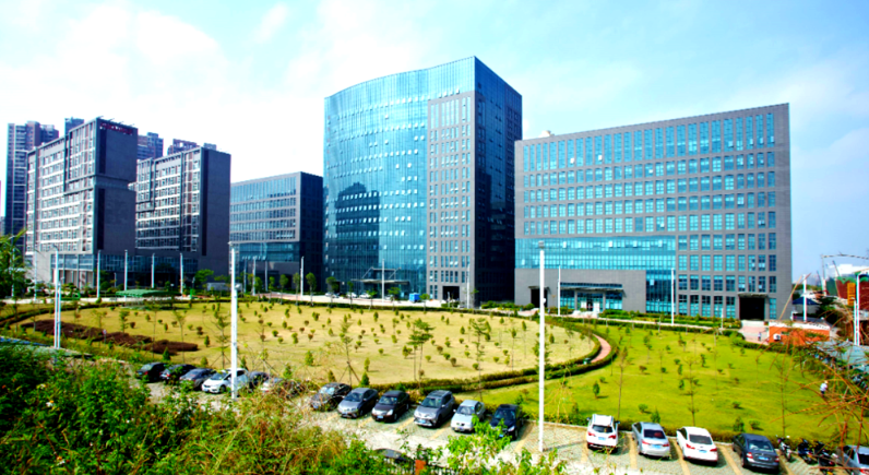 宾阳县绿宝草场草场培育改良技术与土壤管理要点